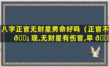 八字正官无财星男命好吗（正官不 🐡 现,无财星有伤官,早 🕊 克夫）